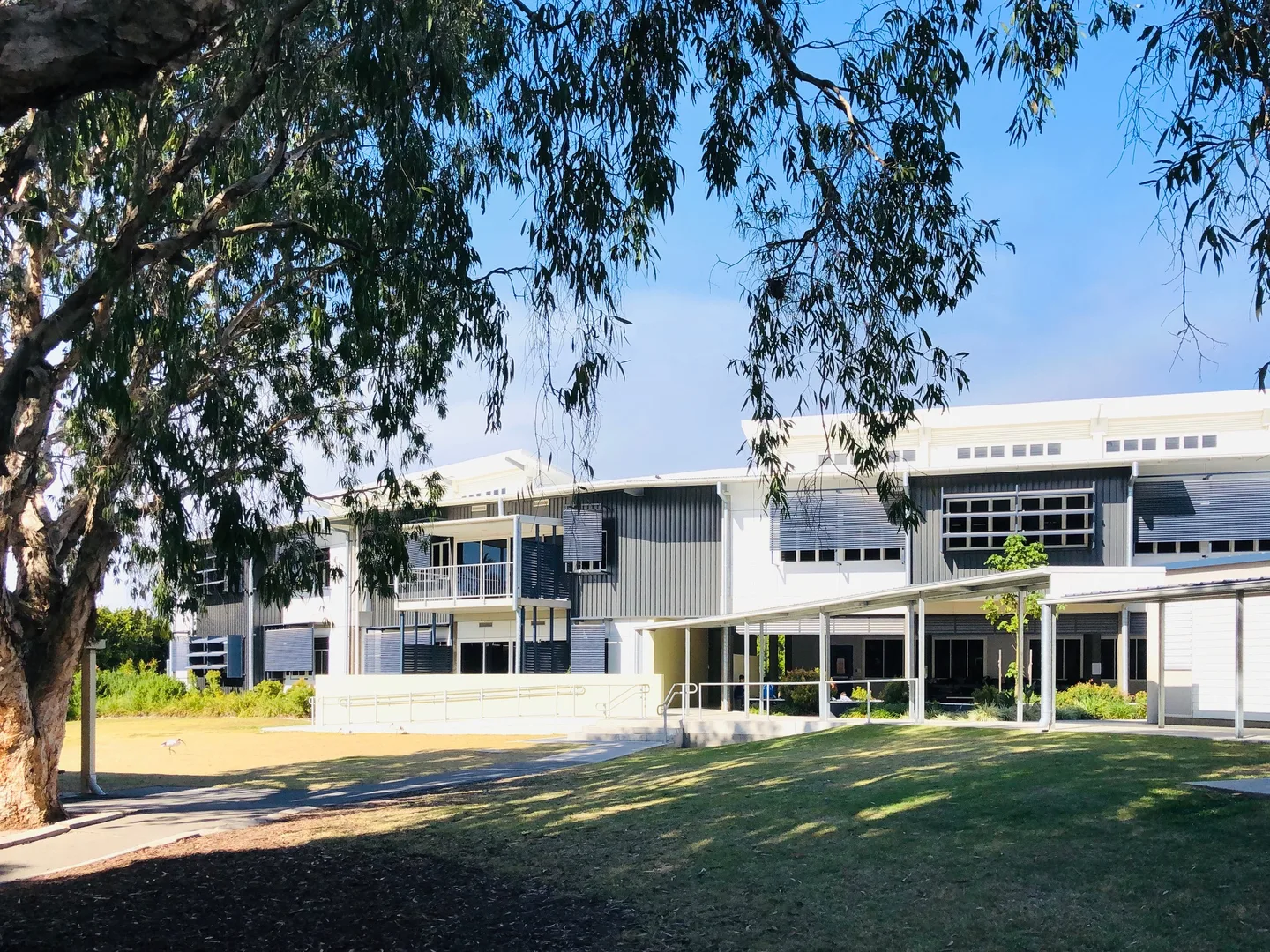 Caningeraba State School, Burleigh Waters, 2020. © The State of Queensland (Department of Education) 2021, CC BY 4.0.